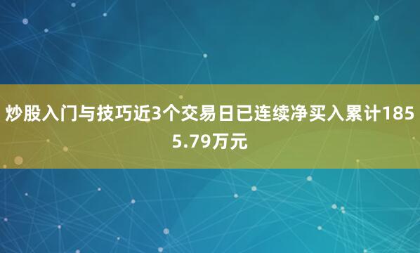 炒股入门与技巧近3个交易日已连续净买入累计1855.79万元