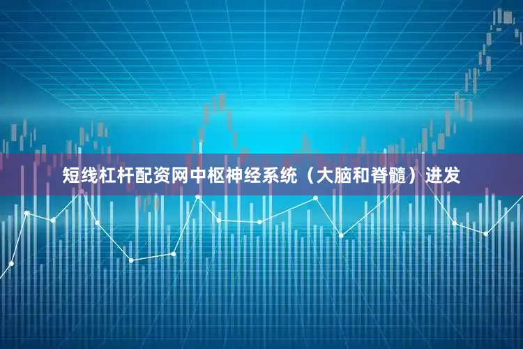 短线杠杆配资网中枢神经系统（大脑和脊髓）进发