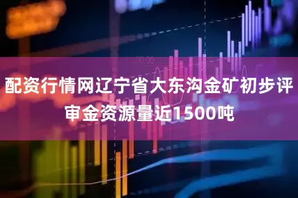配资行情网辽宁省大东沟金矿初步评审金资源量近1500吨